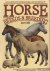 Kidd, Jane - An illustrated international encyclopedia of Horses breeds  breeding