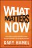 Gary Hamel - What Matters Now