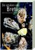 De Smaken Van Bretagne