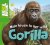 Gorilla - Mijn leven in het...