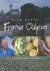 R. Stein - Franse Odyssee