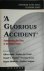 Wim Kayzer - A Glorious Accident