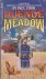 Cook, Paul - Duende Meadow