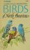 Birds of North America A Gu...