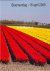 Bloemendag 18 april 2009