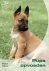Hondenopvoeding Pups