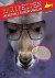 F. Pollet - 50 megacoole dierenverhalen / Rarifeiten