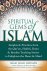 Spiritual Gems of Islam Ins...