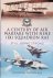 A Century of Air Warfare wi...