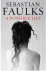 Sebastian Faulks - Possible Life
