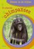 De Grappige Chimpansee / Di...