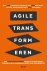 Rini van Solingen - Agile transformeren