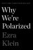 Ezra Klein - 2020 Why We'Re Polarized