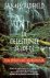 De Celestijnse Belofte (11e...