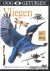 Diverse auteurs - Ooggetuigen: Vliegen. Bekijk de wereld als nooit tevoren (DVD)