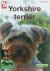 Yorkshire terrier / Over Di...