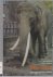 Murugan Legendarische Olifant