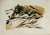 Edouard Manet