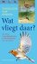 Detlef Singer - Wat vliegt daar?