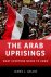 James Gelvin - The Arab Uprisings