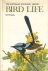 Rowley,Ian - Bird Life: The Australian Naturalist Library