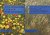 An Illustrated Flora of Nor...