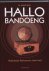 H. Vles - Hallo Bandoeng