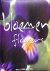 Bloemen, flowers