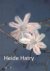 Heide Hatry
