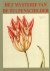 Het mysterie van de tulpens...
