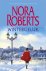 Nora Roberts - Wintergeluk