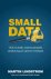 Martin Lindstrom - Small Data