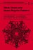 Georgin Moiseevich Zaslavskii - Cambridge Nonlinear Science SeriesSeries Number 1- Weak Chaos and Quasi-Regular Patterns