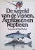 De wereld van de Vissen, Am...