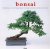 Bonsai Handleiding voor tee...