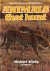Animals that hunt