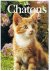 Sayer, Angela - Les chattons