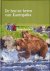 De bruine beren van Kamtsjatka