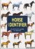 Horse identifier. A pictori...