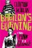 Clinton Heylin - Babylon's Burning