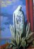 Rene Magritte en het Surrea...