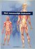 Het menselijk lichaam