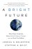 Joshua S. Goldstein - A Bright Future