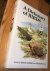 A Dictionary of Birds