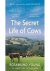 The Secret Life of Cows