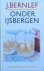 J. Bernlef - Onder ijsbergen