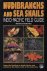 Nudibranchs and Sea Snails:...