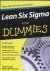 Lean Six Sigma voor Dummies...