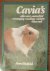 CAVIA'S / OVERIGE HUISDIEREN