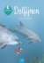 Willewete  -   Dolfijnen